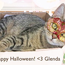 Thumbnail photo of Glenda #2
