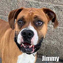 Photo of Jimmy