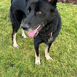 Photo of Lenny