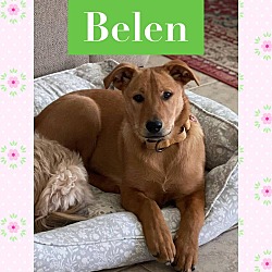 Photo of BELEN
