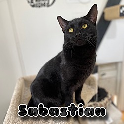 Photo of Sabastian