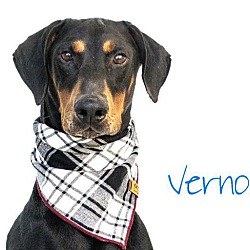 Photo of Vernon