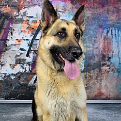 Photo of Maximo