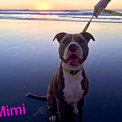 Thumbnail photo of Mimi #4