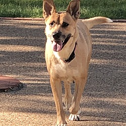 Photo of Sissy