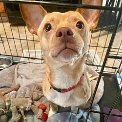 Photo of Ernie KF