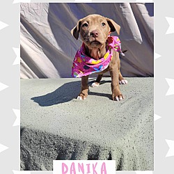 Photo of Danika