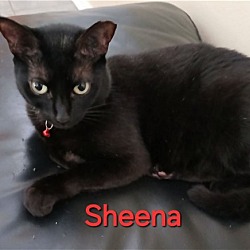 Photo of Sheena