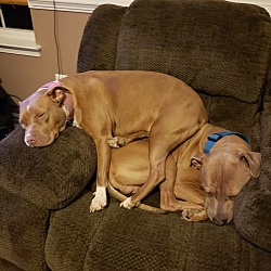 Photo of Susie