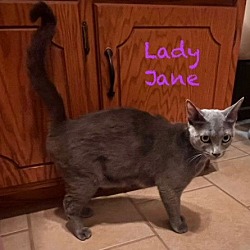 Thumbnail photo of Lady Jane #1