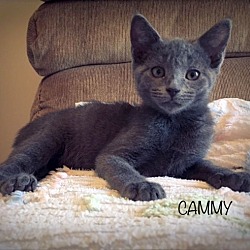 Thumbnail photo of Cammy #2
