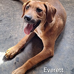Photo of Everett