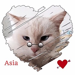 Thumbnail photo of Asia #2