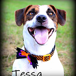 Thumbnail photo of Tessa ~ meet me! #1