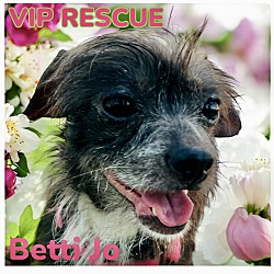 Thumbnail photo of Betti Jo #1