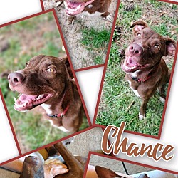 Thumbnail photo of Chance #4