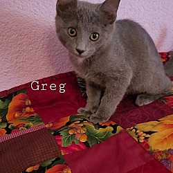 Thumbnail photo of GREG GRADY #3