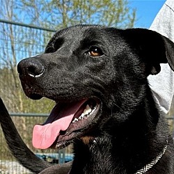 Photo of Paco