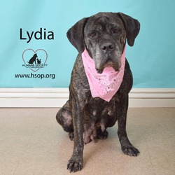 Thumbnail photo of Lydia #1