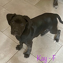Photo of Kay