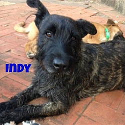 Thumbnail photo of INDY PC #3
