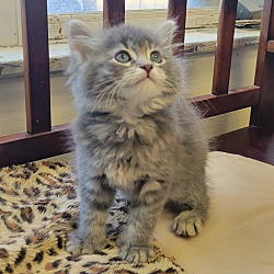 Photo of Gloria