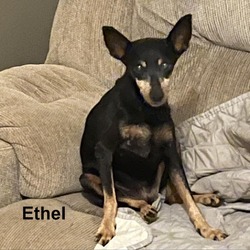 Thumbnail photo of Ethel SCP #4
