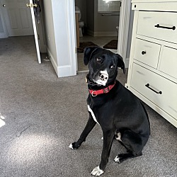 Photo of Brady