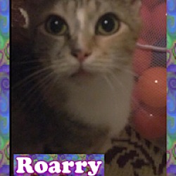 Photo of Roarry