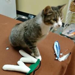 Thumbnail photo of Kate #2