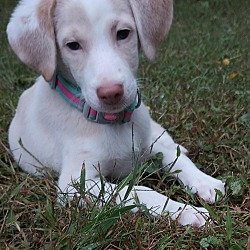 Photo of Kaia