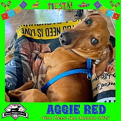 Photo of Aggie Red