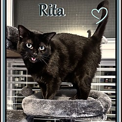 Thumbnail photo of RITA #1