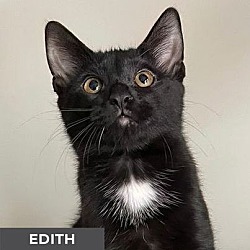 Thumbnail photo of Edith #1