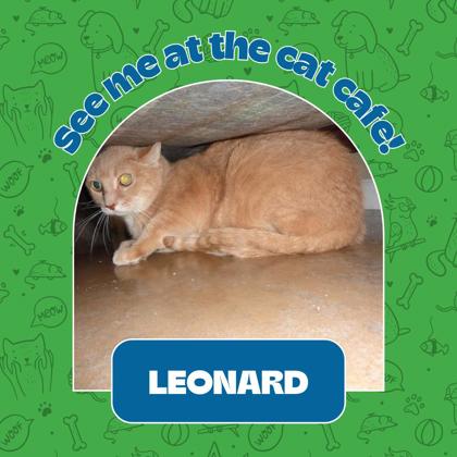 Photo of Leonard
