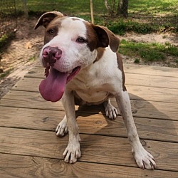 Photo of Klaus