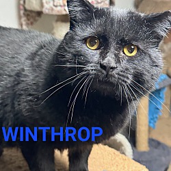 Photo of Winthrop