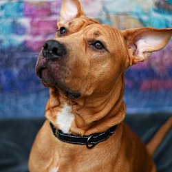 Photo of Broley