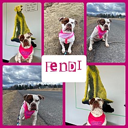 Thumbnail photo of Fendi #4