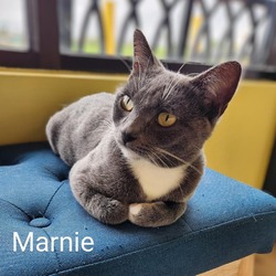 Thumbnail photo of Marnie #1