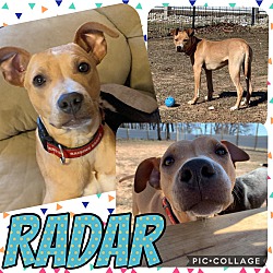 Thumbnail photo of Radar #1
