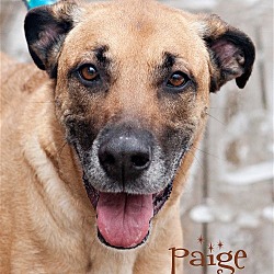 Thumbnail photo of PAIGE #2