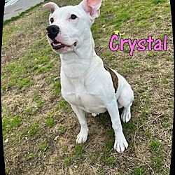 Thumbnail photo of Crystal #2