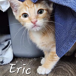 Photo of Eric
