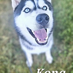 Thumbnail photo of Kona #3