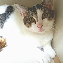 Thumbnail photo of Julian #3