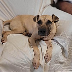 Photo of Ada