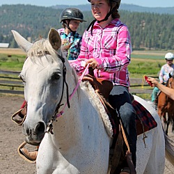 Thumbnail photo of Horses available-some rideable #4
