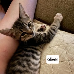 Photo of B-Oliver/Pink Toes