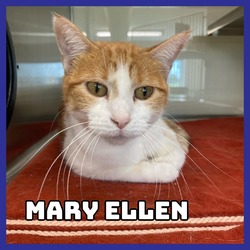 Thumbnail photo of Mary Ellen #2